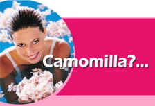 camomilla10.jpg (39013 byte)
