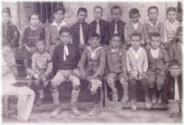 piscittinast.jpg (66714 byte)